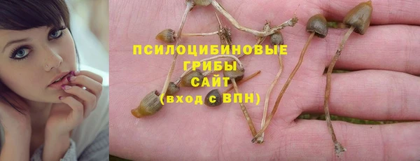прущие крисы Переславль-Залесский