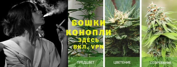 МДМА Осинники